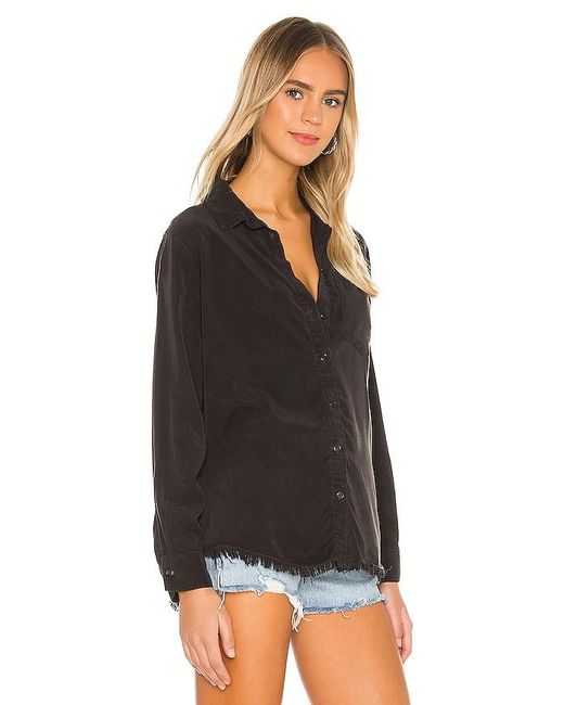 Lauren Moshi Black Sloane Nailhead Skull Button Up Denim Shirt