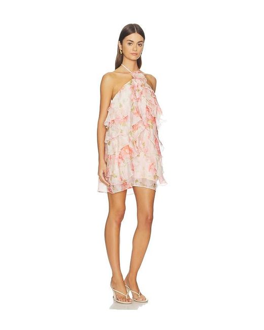 Astr Multicolor Ofra Dress
