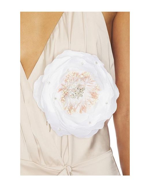 Rosewater House White Shiraz Ruffle Dress