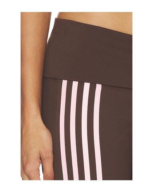 Lioness Brown Layover Pant
