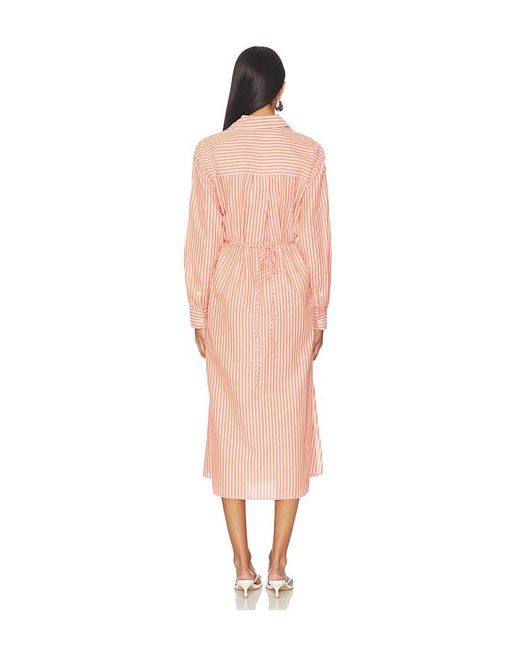 Polo Ralph Lauren Multicolor Collared Long Sleeve Dress