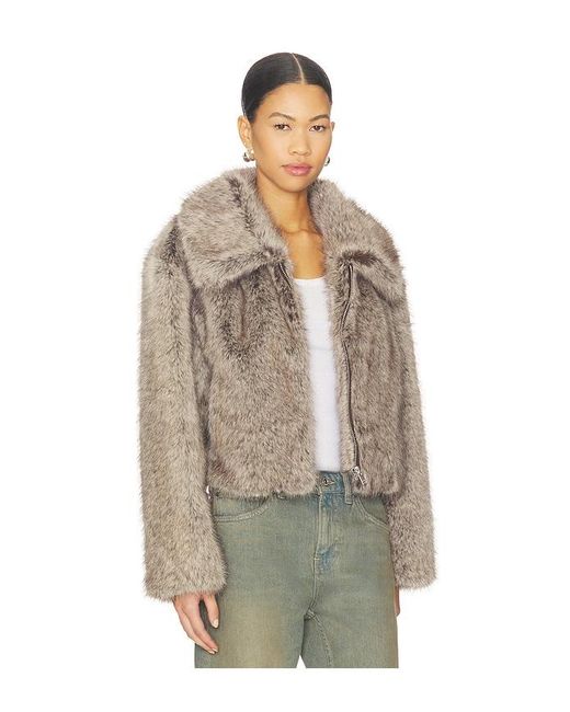 Lamarque Multicolor Jacke Nova