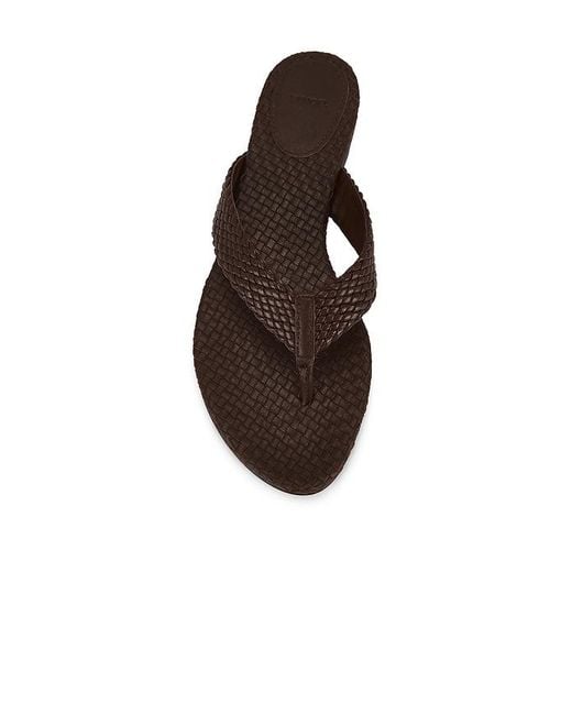 Vince Multicolor Lotus Sandal