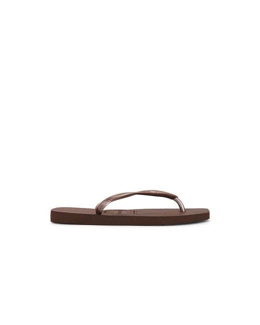 Havaianas Brown Slim Square Sandal