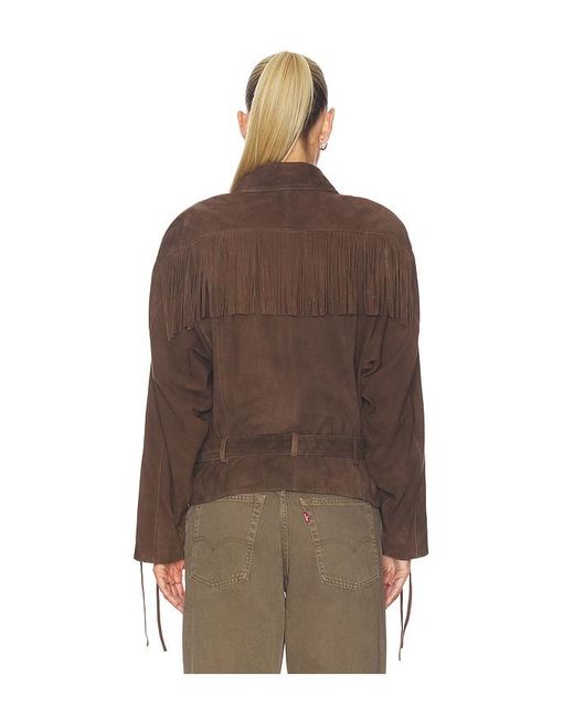 Lamarque Brown Kyel Suede Jacket