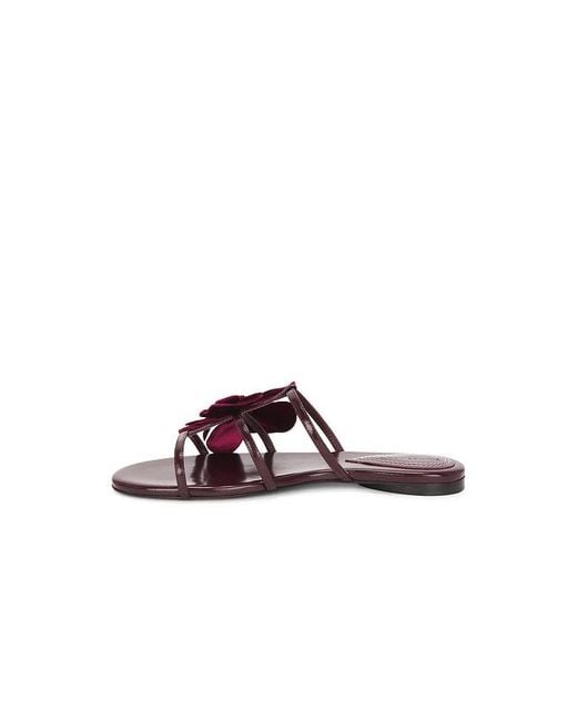 Zimmermann Multicolor Orchid Slide