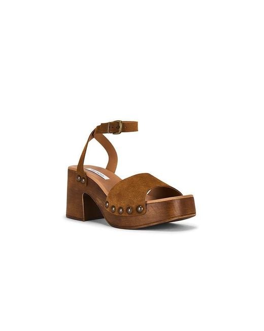Steve Madden Brown Karsin Sandal