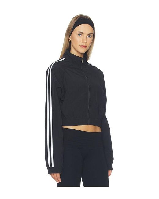 superdown Blue Cait Windbreaker Jacket