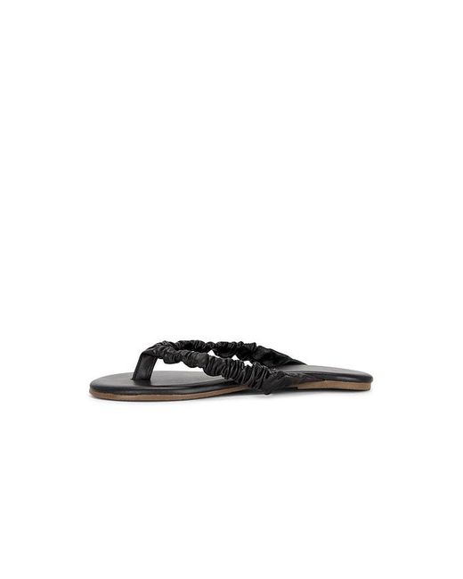 TKEES Black Savanna Sandal