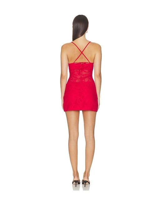 SNDY'S Red Sofie Lace Mini Dress