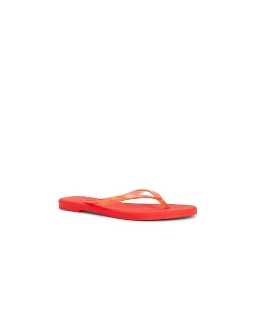 TKEES Red Aqua Flip Flops