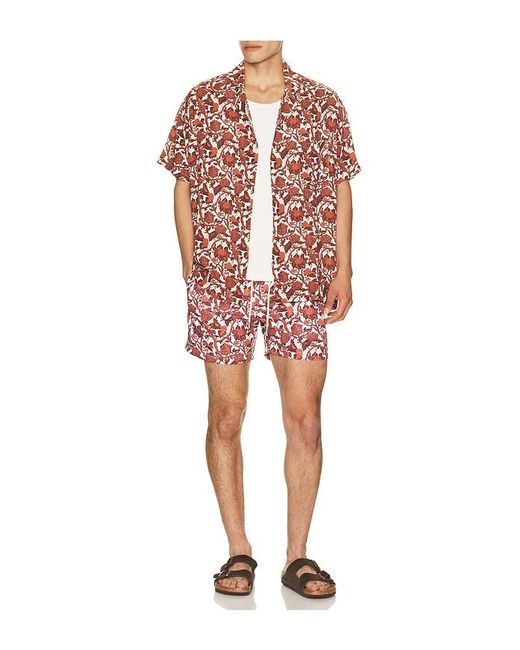 ARRELS Barcelona Red Kabak X Lazaro Rosa-Violan Camp Collar Shirt for men
