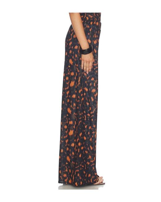 Eywasouls Malibu Brown Seby Pant