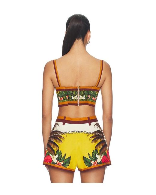 retroféte Yellow Cricket Bustier Top
