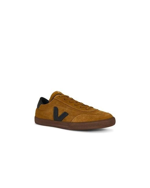 Veja Brown Panenka for men