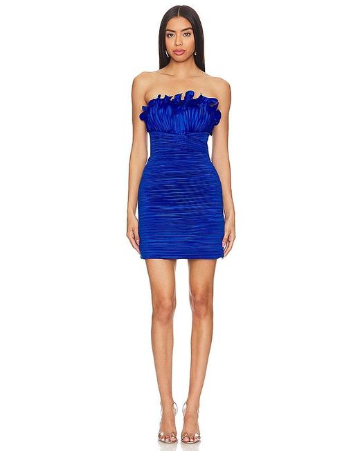 AMUR Blue Ashtyn Mini Dress