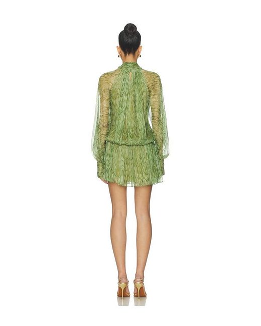Alexis Green Hailey Dress