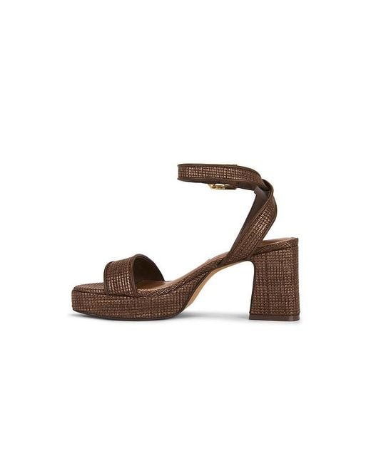 Steve Madden Multicolor Elida Sandal