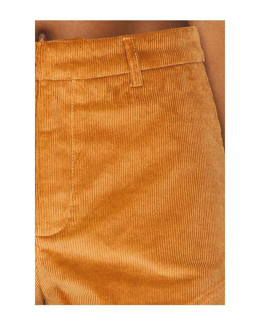 Lioness Orange Saddle Short