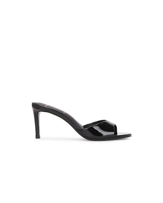 Black Suede Studio Black Freddie 65 Mule