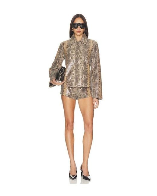 Chaqueta Blouson Leather En Color Marrón Talla (También En M, S, Xs) Mimchik de color Brown