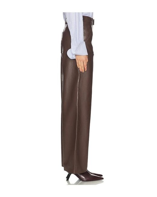 MSGM Brown Hose