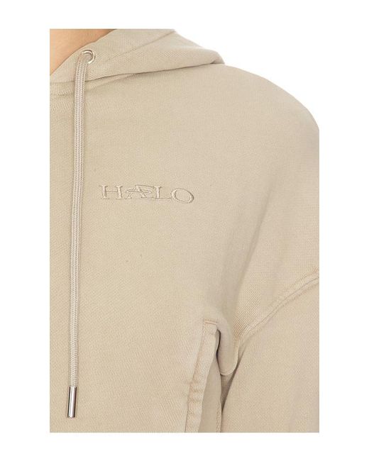 HAELO Natural Zip Up Hoodie