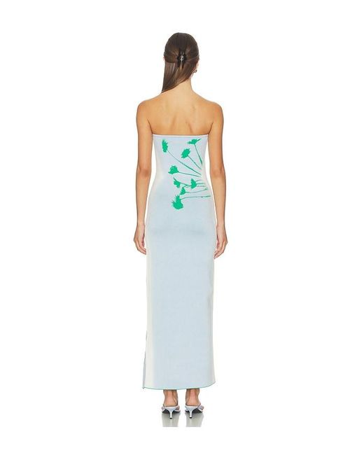 Ph5 Blue Iris Flower Print Maxi Tank Dress