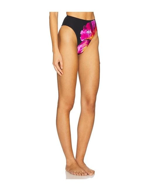 LSPACE Multicolor Savannah Bikini Bottom