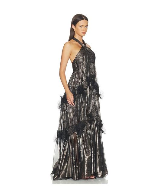 Maria Lucia Hohan Multicolor Zadie Dress