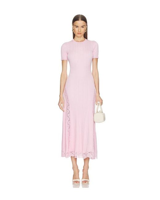 Self-Portrait Pink Knit Lace Insert Midi Dress