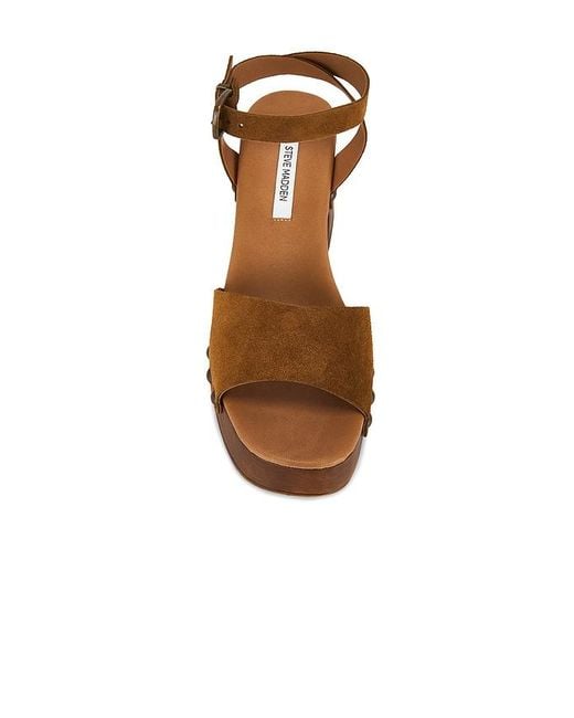 Steve Madden Brown Karsin Sandal