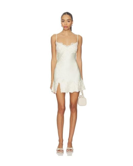 Bardot White Alerie Lace Satin Mini Dress