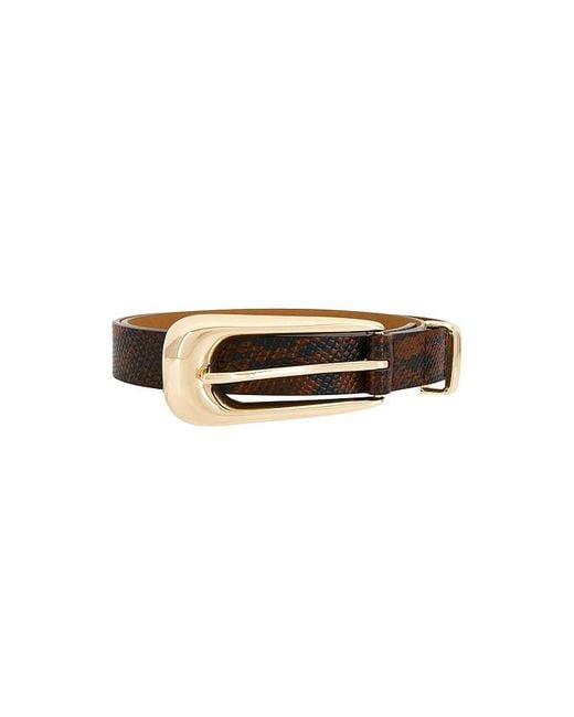 Ettika Multicolor Signature Buckle Belt
