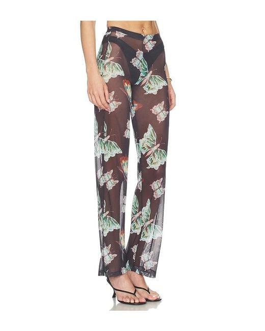 Juliet Johnstone Black Mesh Pant