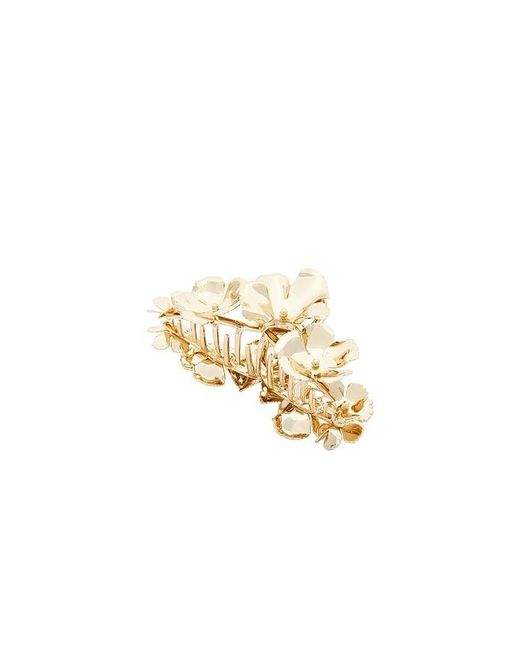 Lelet White Mega-Klauenclip Eden