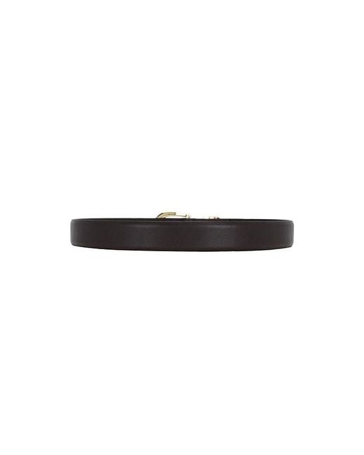 FAVORITE DAUGHTER Black The William Split Decision Belt