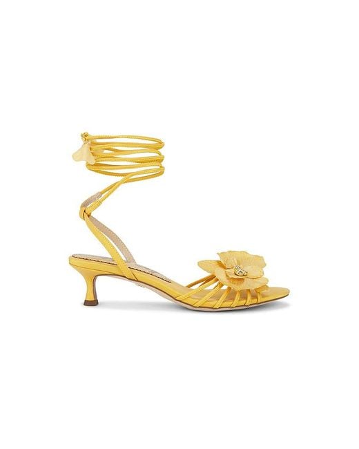 Sam Edelman Metallic Carla Sandal