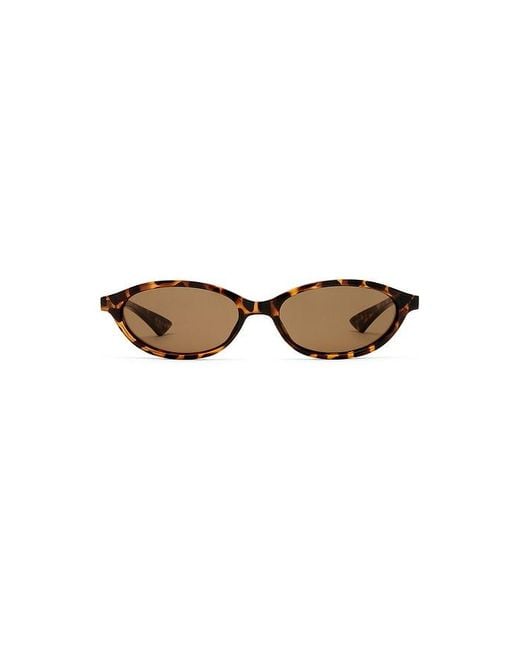 Le Specs Brown Duskfall Sunglasses