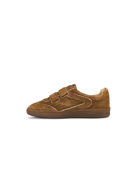 Sam Edelman Brown Talia Sneaker