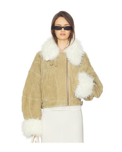 Vaillant Natural Aviator Jacket Suede Leather