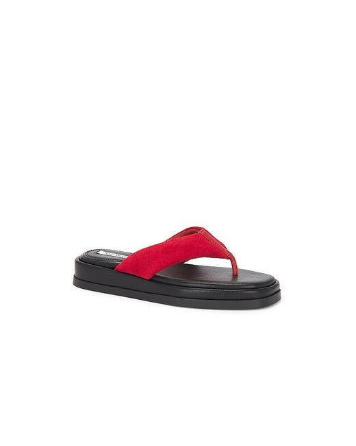 Steve Madden Red Bella Sandal