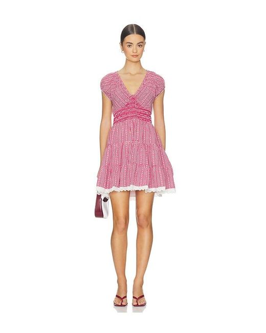Saylor Pink Asterid Dress