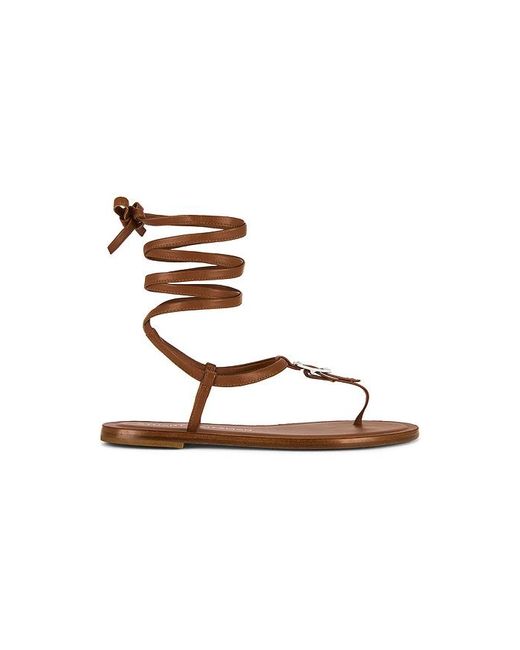 Stuart Weitzman Multicolor Georgie Lace-Up Sandal