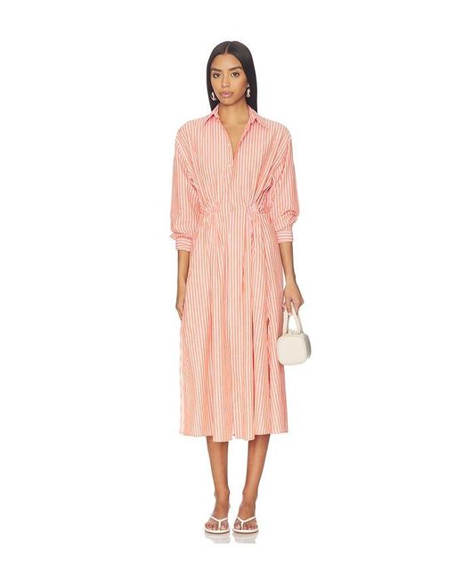 Polo Ralph Lauren Multicolor Collared Long Sleeve Dress