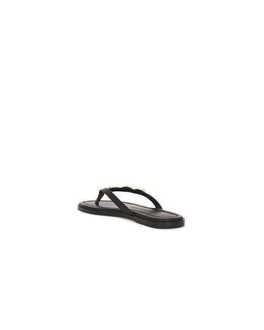 Dolce Vita Black Juny Sandal