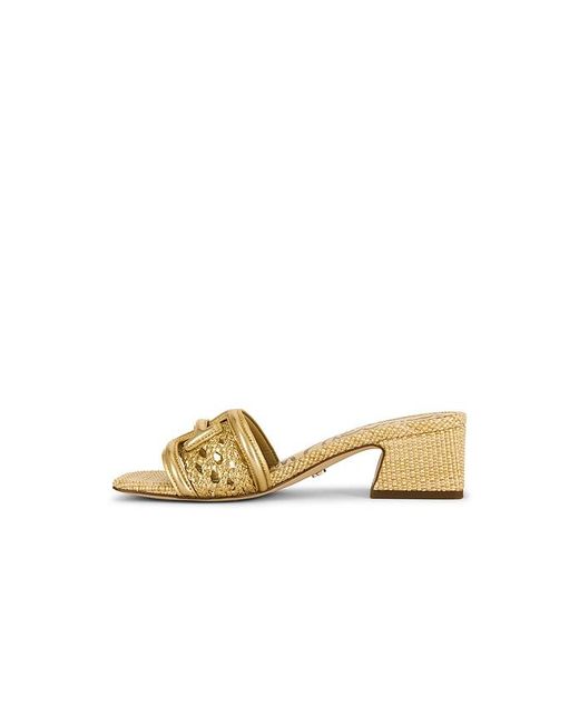 Sam Edelman Metallic Waylon Weave Sandal