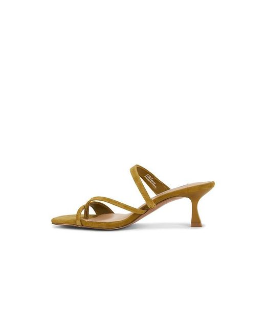 Steve Madden Metallic Ajay Sandal