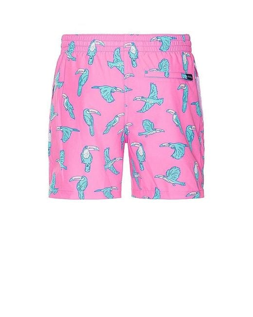 Chubbies Pink The Toucan Do Its 5.5 Swim Short for men