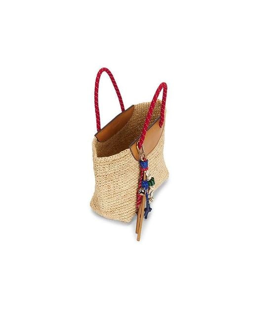 Madewell Multicolor Raffia Mini Tote Bag